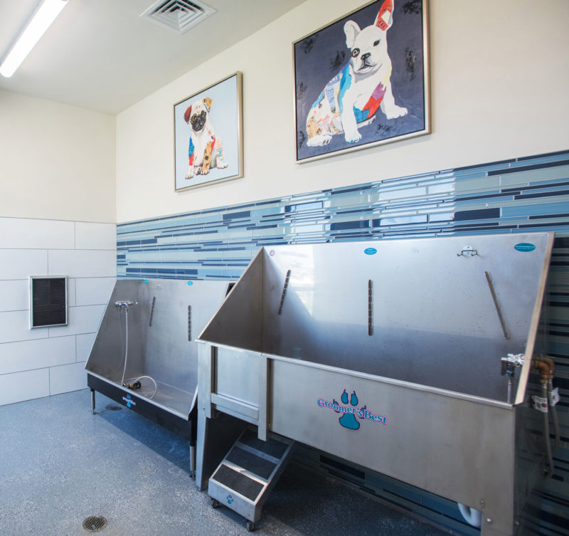 Dog wash area complete with tubs, easy to clean floors, and colorful dog prints in multifamily community in Colorado.